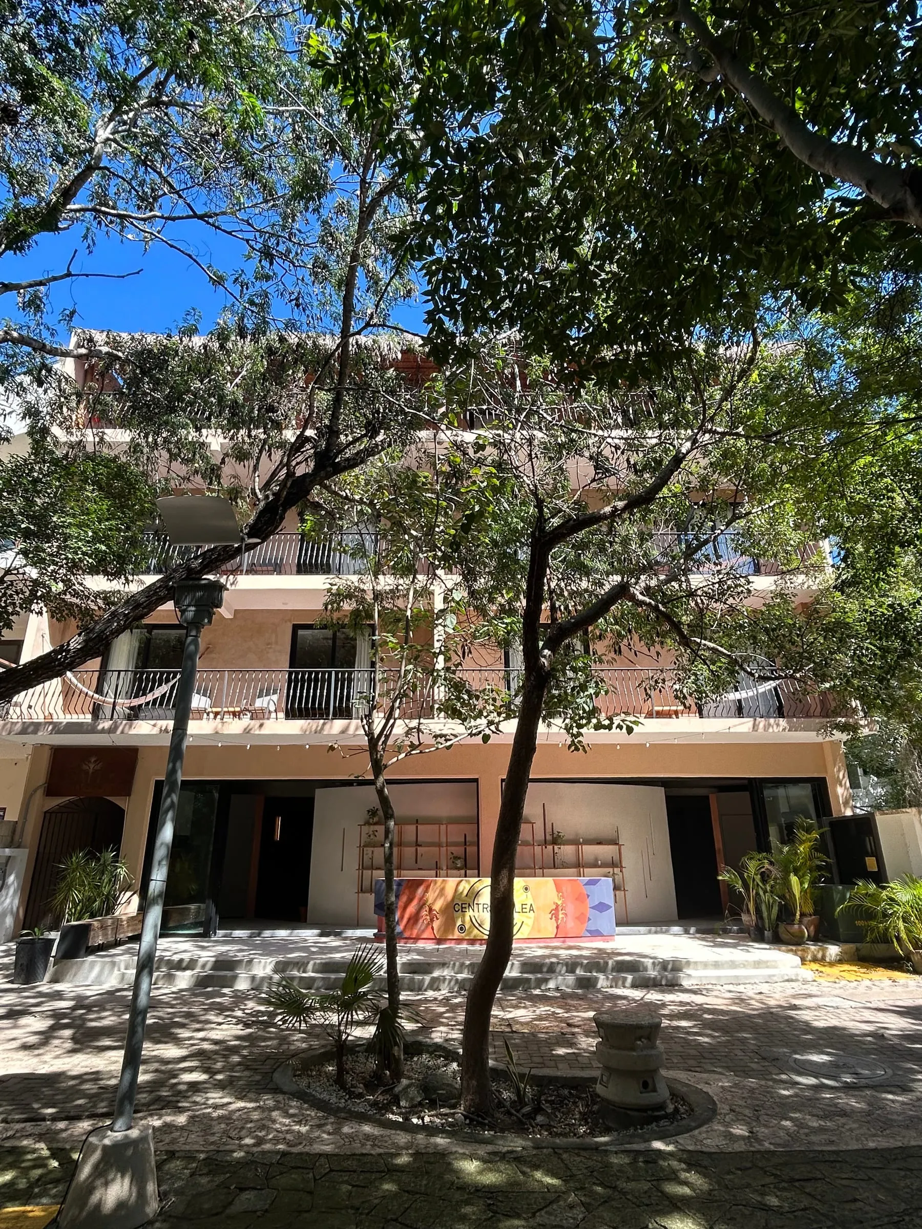 The entrance to Centro Calea in Aldea Zama, with a large tree in front.