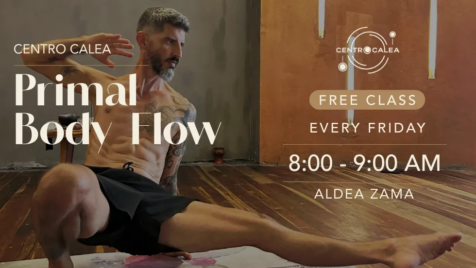 Cartel de Primal Body Flow